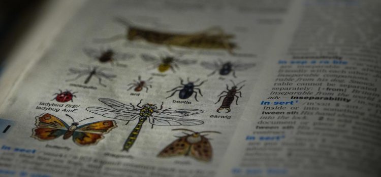 Die besten neuen Entomologie-Bücher für das Jahr 2022